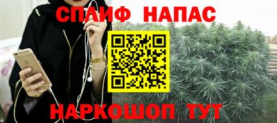 кокс Можайск